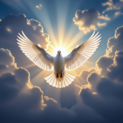 The Rebirth of Consciousness