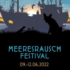 LIVE DJ Set – Meeresrausch Festival 12.6.22 – Main Stage (All Music by TOLEE)