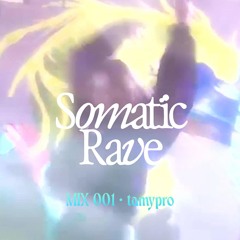 Somatic Rave at Teufelsberg - tamypro