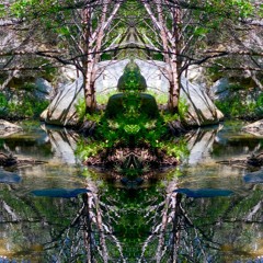 Flower Field Simulation