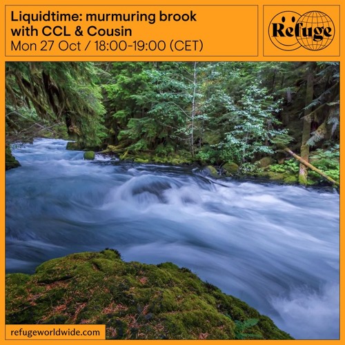 Liquidtime: murmuring brook - CCL & Cousin - 27 Oct 2025