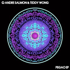 Andre Salmon & Teddy Wong - The Wonx