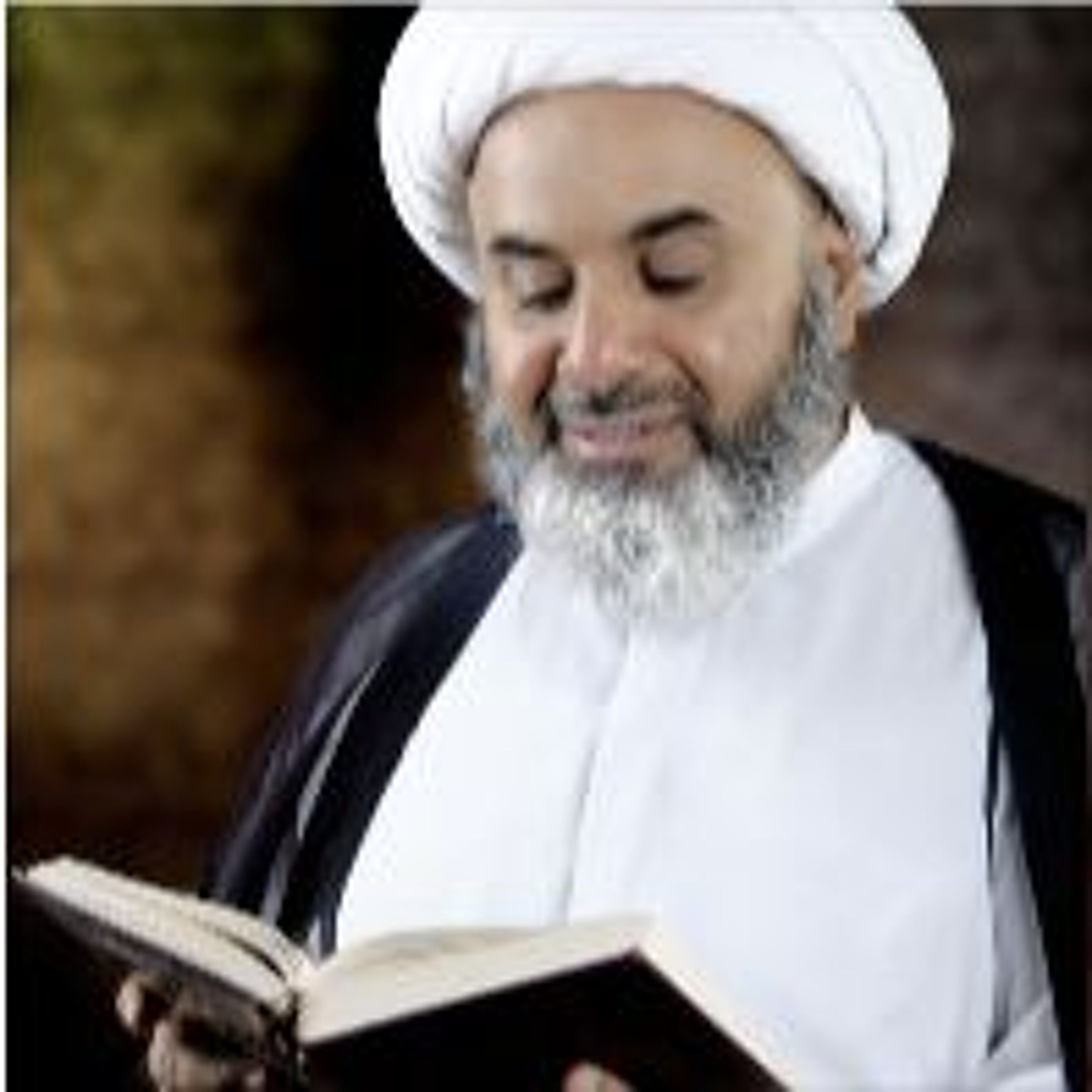 تفسير سورة البقرة .. قوله تعالى ( الٓمٓ ) اية (1) القسم الثاني |  لسماحة العلامة الشيخ حسين العايش episode artwork