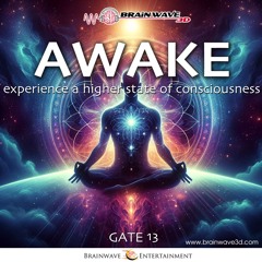 Gate 13 - AWAKE - Höheres Bewusstsein erlangen DEMO