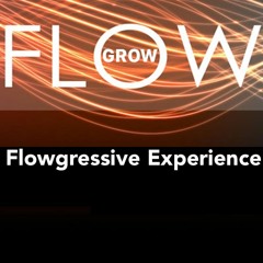 Flowgressive Experience