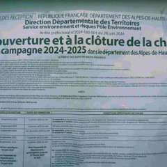 Carnet de résidence 3 | N° Zéro | Ongles