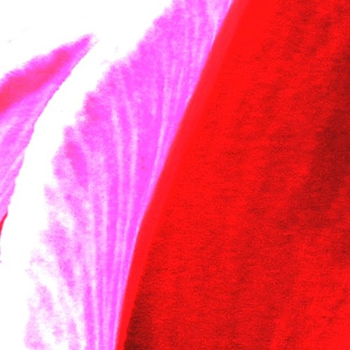 L'esperança del desig (Deseo y Esperanza)