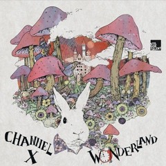 Channel X - Delight (Original Mix)| 12" Vinyl Version