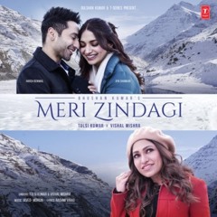 Meri Zindagi | Vishal Mishra | Tulsi Kumar