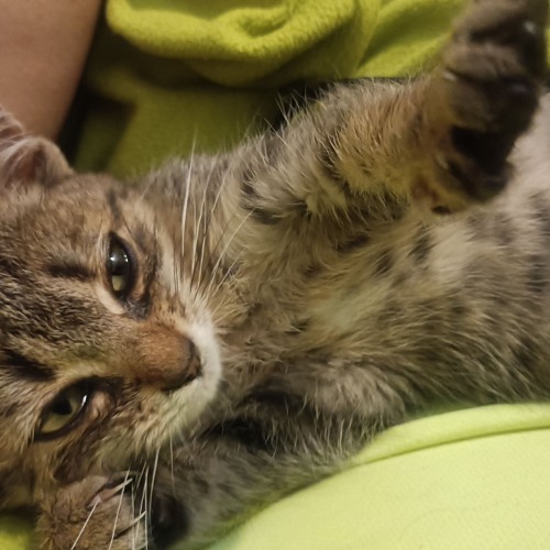 Linkin Park Burn It Down 2 5 (Cover by John IRIDIUM of Hyper Sensitive Perceptions)