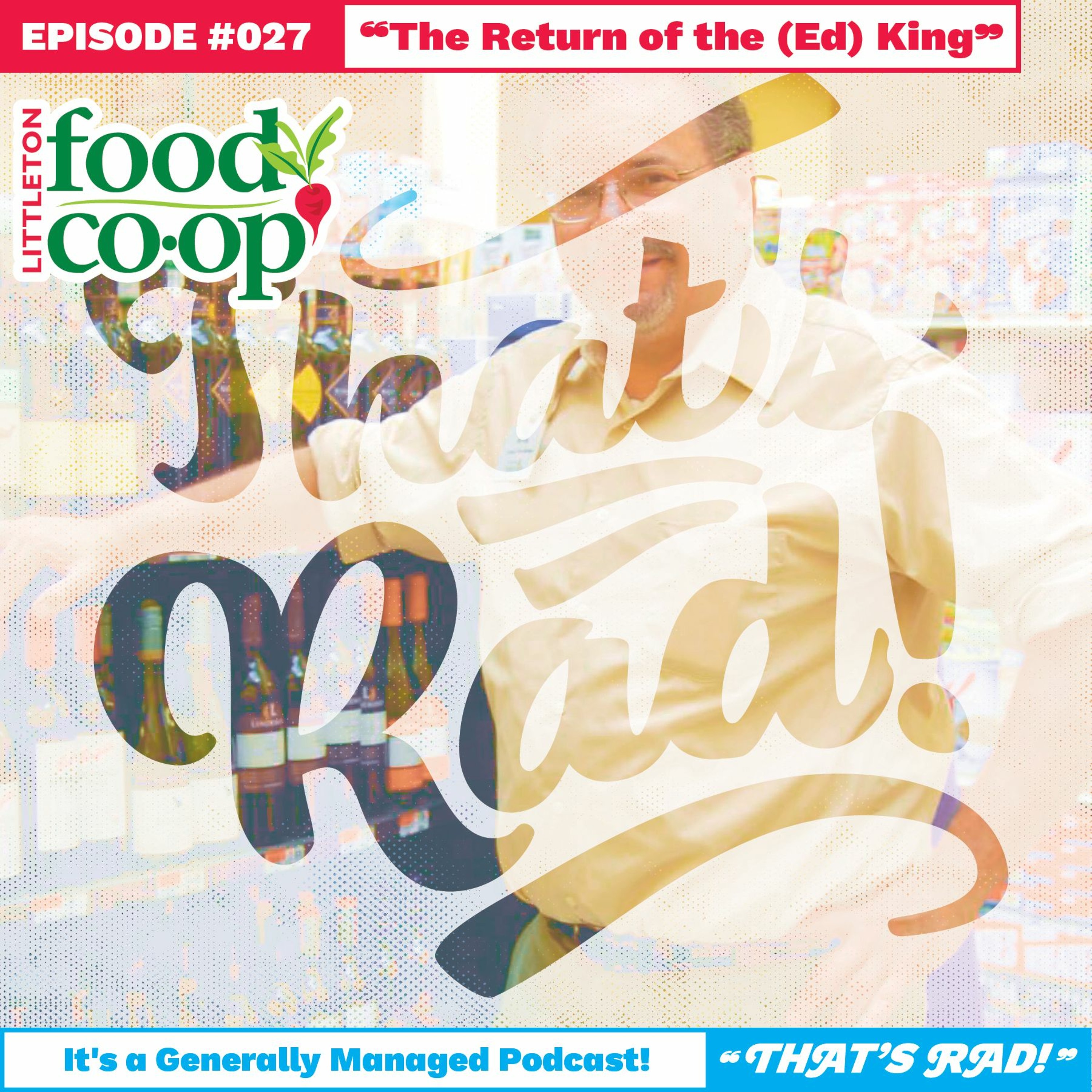 Episode XVII: The Return of Ed King episode artwork