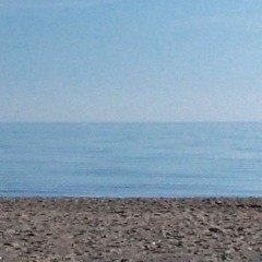 Driver [ m. murano ]