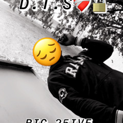 BIG 25IVE - D.T.S