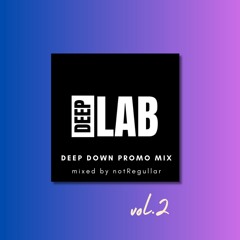 Deeplab Deephouse Promo Mix vol.2 - Mixed By Notregullar