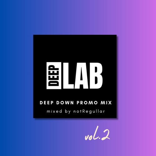Deeplab Deephouse Promo Mix vol.2 - Mixed By Notregullar