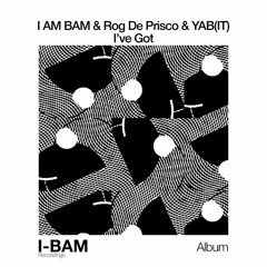 I AM BAM & Rog De Prisco  - Touch of Sound(Original Mix)