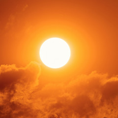 CLIP - Record rise in carbon dioxide levels, WMO expert calls for more action