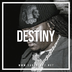 Destiny (x Slim Pharaoh)