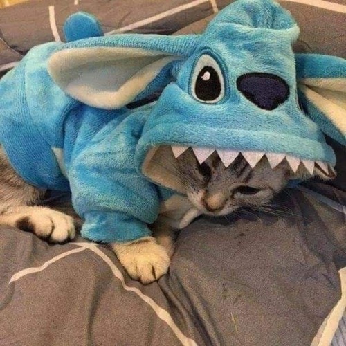Lỗi Tại Anh - DT Remix