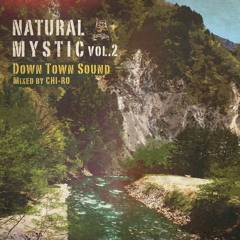 Natural Mysitc Vol.2 (2020 JAN, REGGAE MEDIUM MIX)