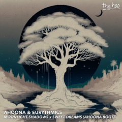 Ahoona x Eurythmics - Moonlight shadows x Sweet dreams (Ahoona boot / Filtered due to copyright*)