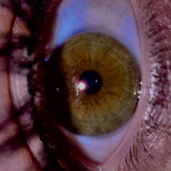 B4MB1 - Can You Feel My Neuro?