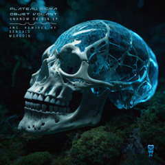 Plateau Sigma, Objet Volant - Unknown Origin (Bensaid Remix)