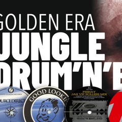 JUNGLE DRUM'N'BASS Golden Era Mix | SELECTIONS VOL. 00