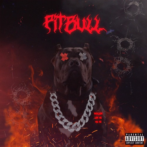 Stream Pitbull - Ruzn , Lan XZ , KS by Raulzin | Listen online for