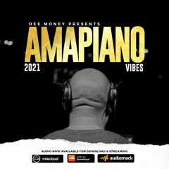 2021 Amapiano Vibes