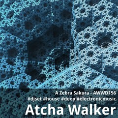 A Zebra Sakura - AWWD156 - djset - house - deep - electronic music