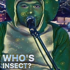 whos insect?