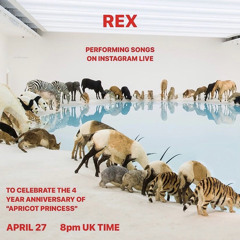 unreleased track - rex orange county