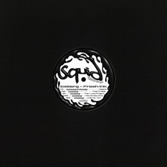 Iceberg Presents Fresh Ink - Squid Recordings (SR005)