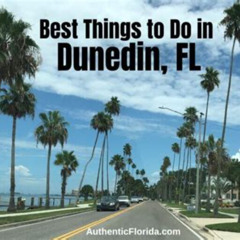 Best Things To Do In Dunedin Florida Tours Reviews