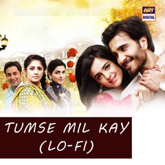 Tumse Mil Kay | Lo-Fi | Slow & Reverb 🎶 | Hassan Hayat Khan | ARY Digital