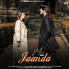 Main Ni Jaanda