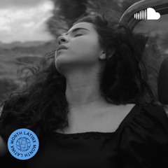 Memo Antes De Un Cónico Y Una Flor