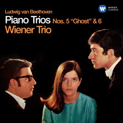 Beethoven: Piano Trio No. 5 in D Major, Op. 70 No. 1 "Ghost": II. Largo assai ed espressivo