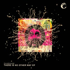 CMPL078: Shabaam - There Is No Other Way