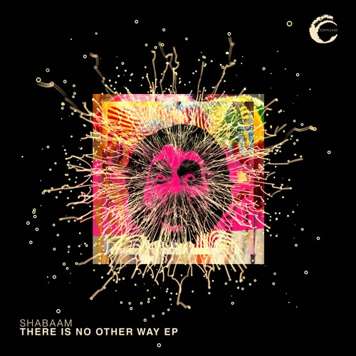 CMPL078: Shabaam - There Is No Other Way
