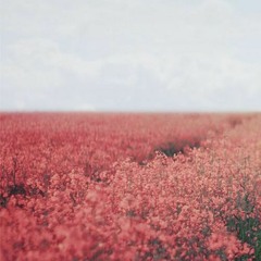 I'm awkward & she's awesome [ wassup rocker ] ( first seconds ) slowed and reverbed 10min loop