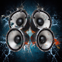 Follow Me DJ Vanzetti