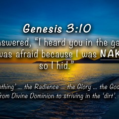 Be Clothed in Glory