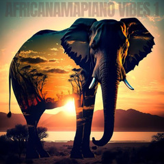 AFRICAMAPIANO VIBES 1