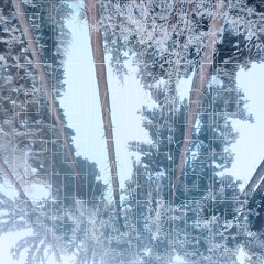 Carpenter Effect - Change