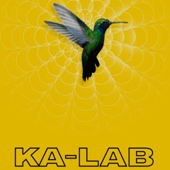 Kalab @Karton Museum 02/2023