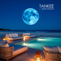 Night Dip