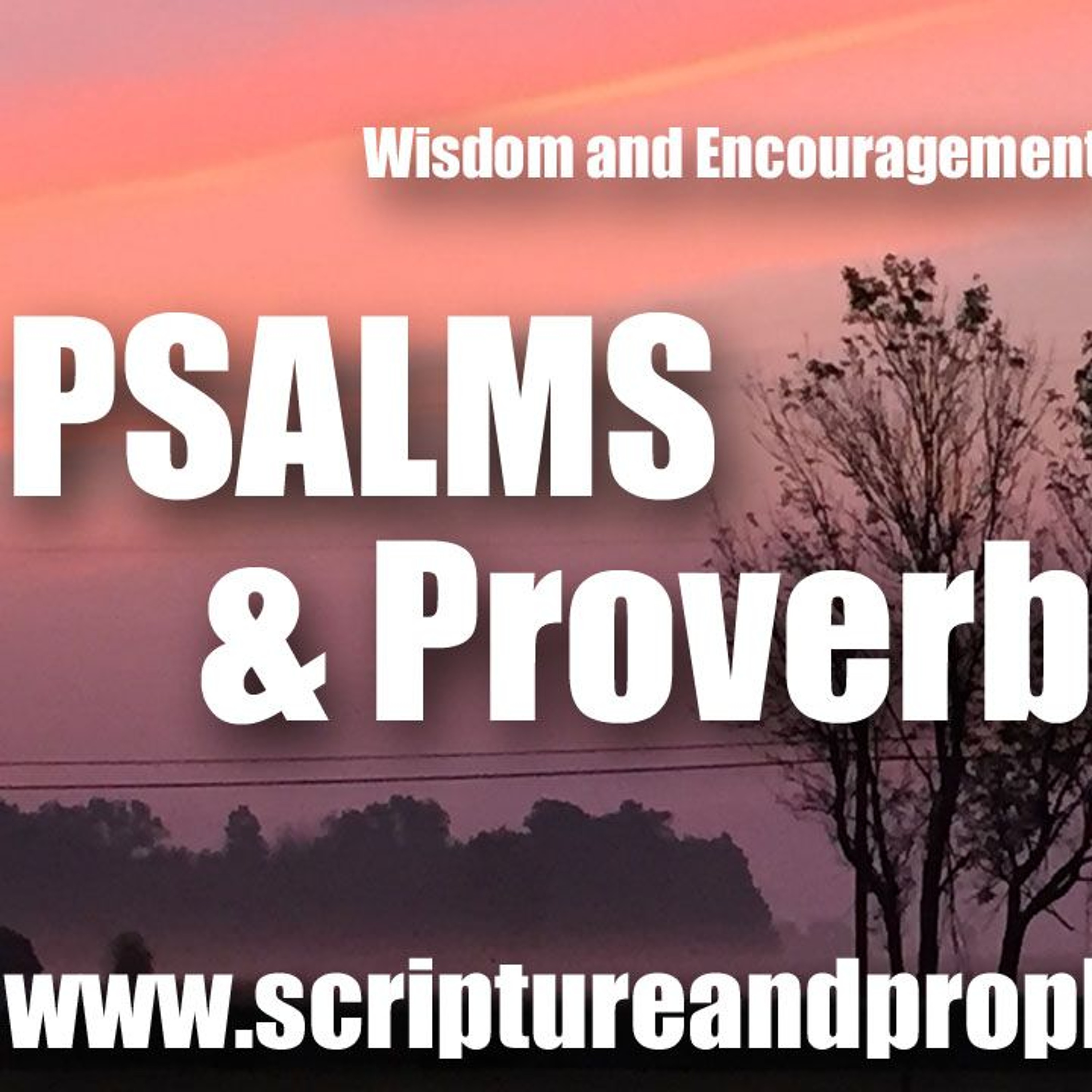 Scripture & Prophecy - Weekly Bible Studies