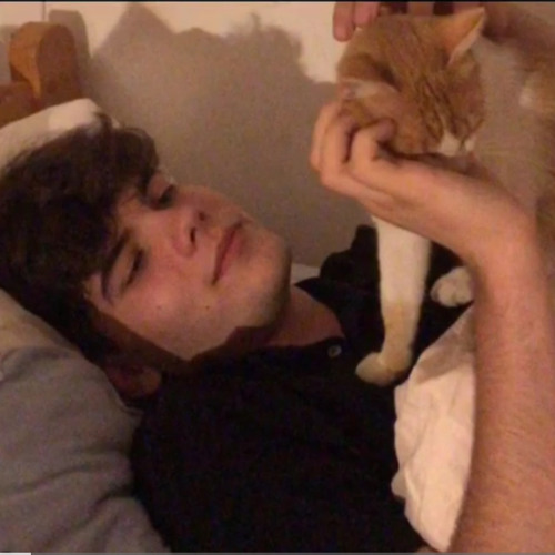 Stefan Costea-Mi amor Snippet